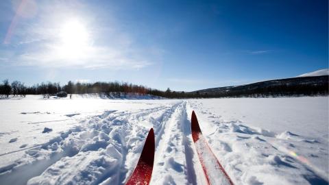 Cross Country Skis in a track